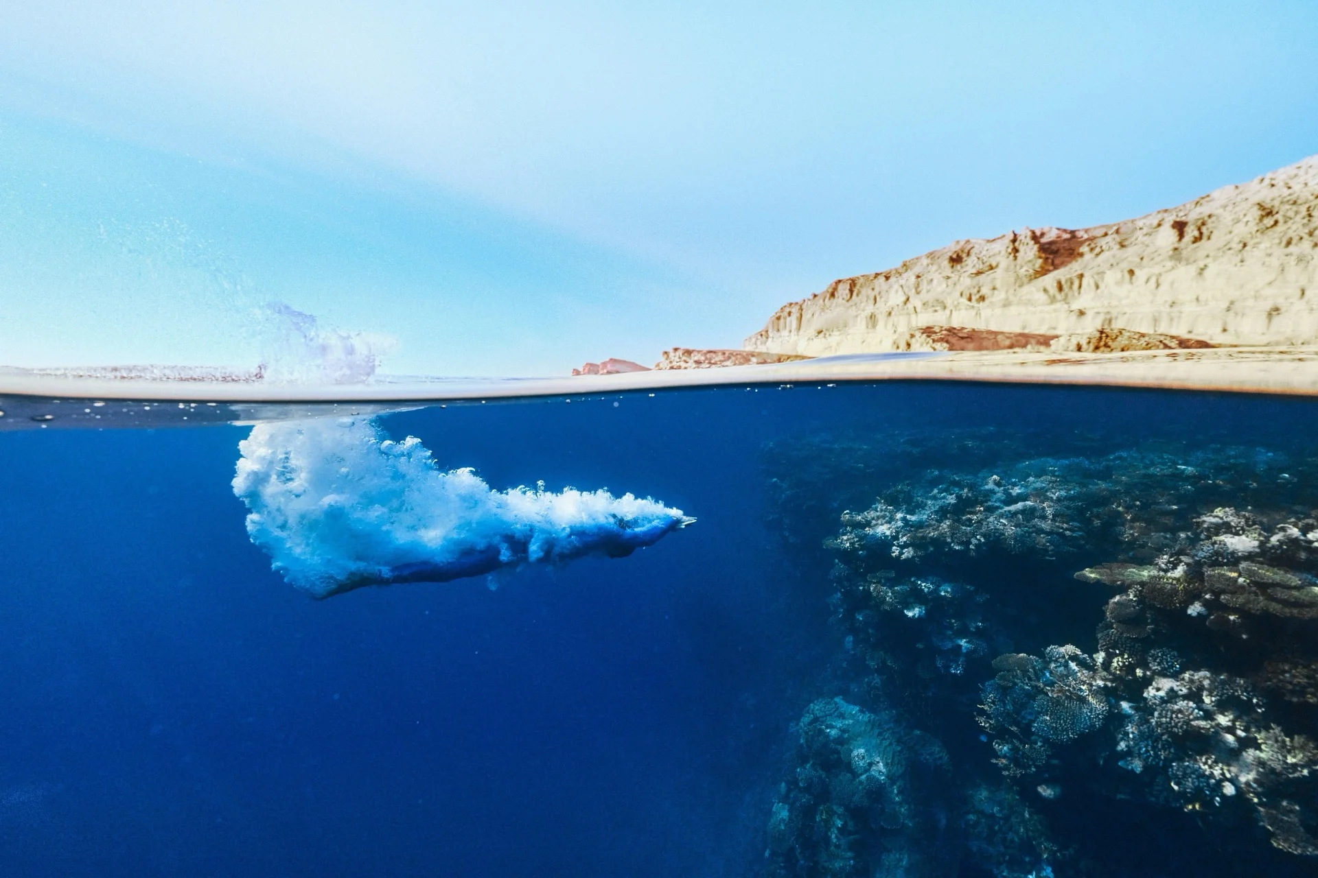 Diving in Marsa Alam — snorkeler swimming through crystal-clear Red Sea waters with marine life