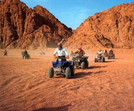 Desert Safaris